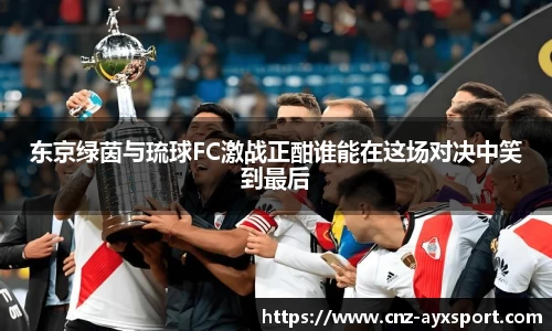 爱游戏体育