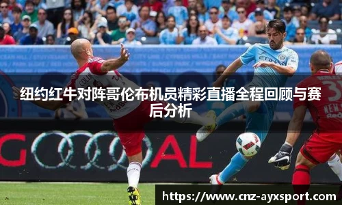 爱游戏体育